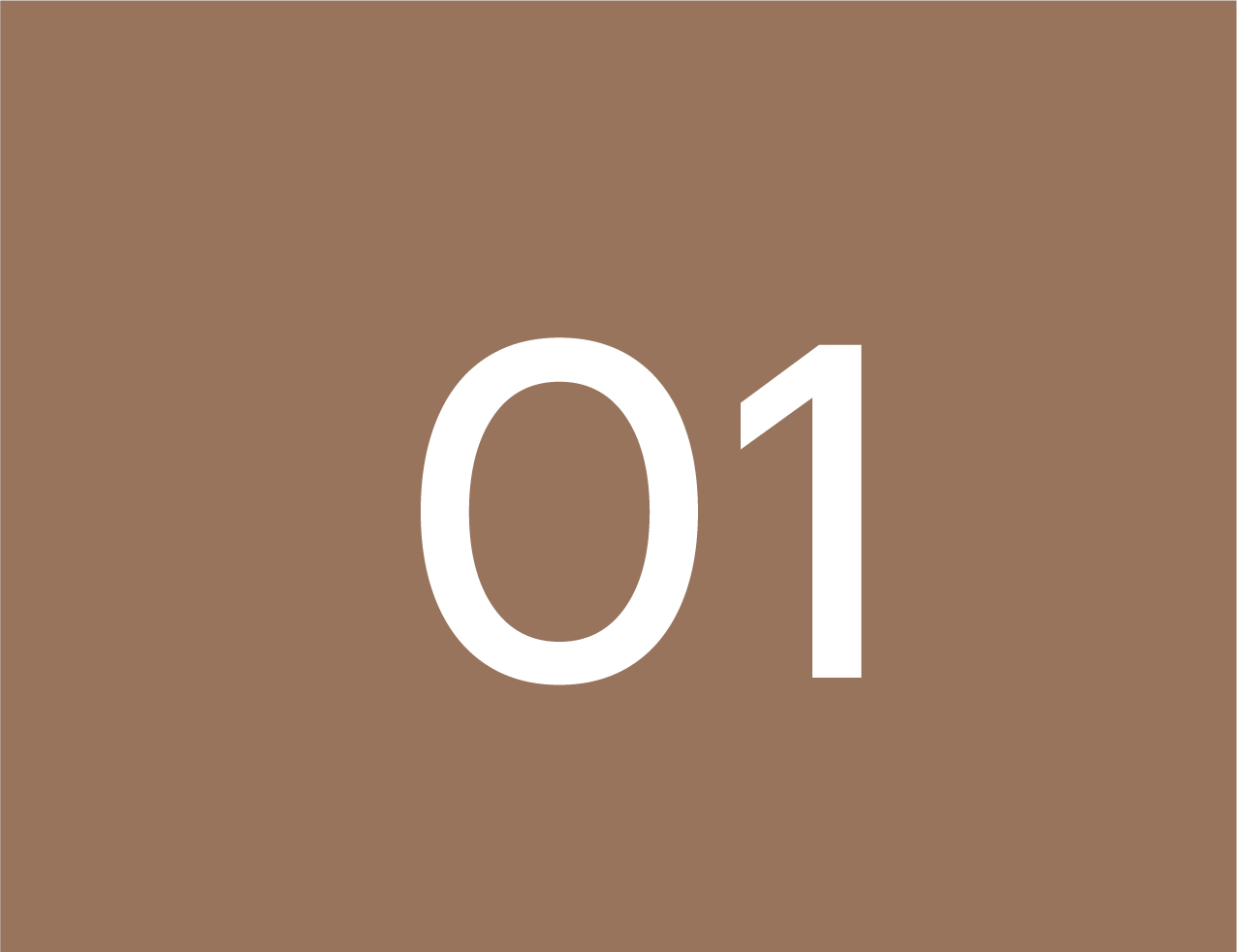 เทมเพต Display Web-02